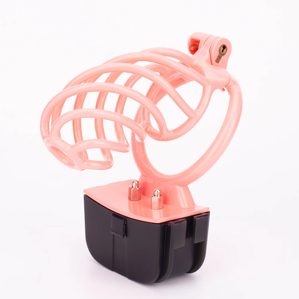 Cage de chasteté à décharge électrique