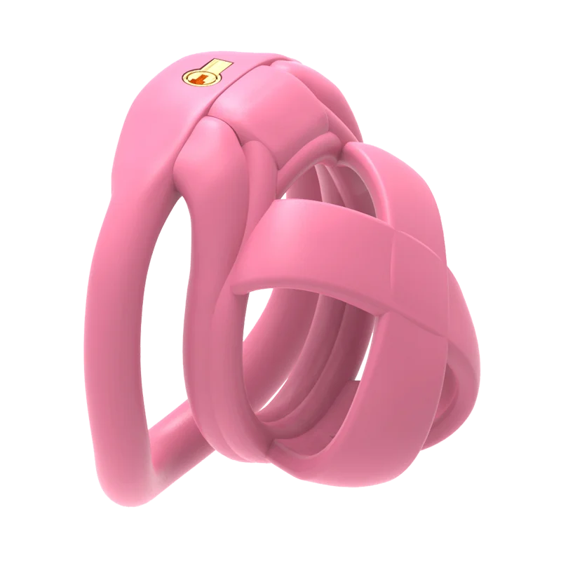 The Model X Male Chastity Cage