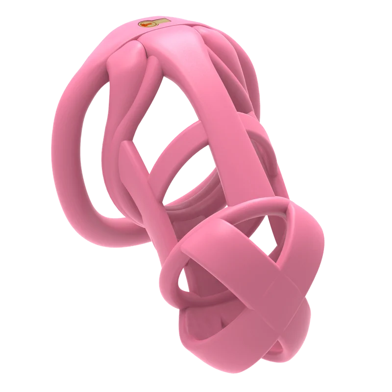 The Model X Male Chastity Cage