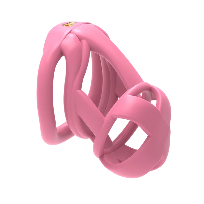 The Model X Male Chastity Cage