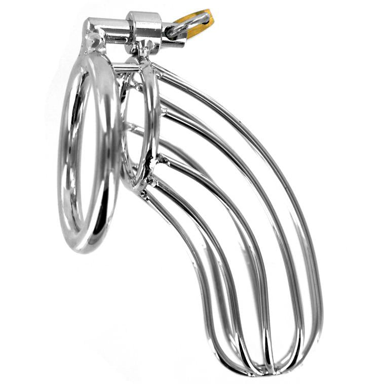 The Large Bird Chastity Cage