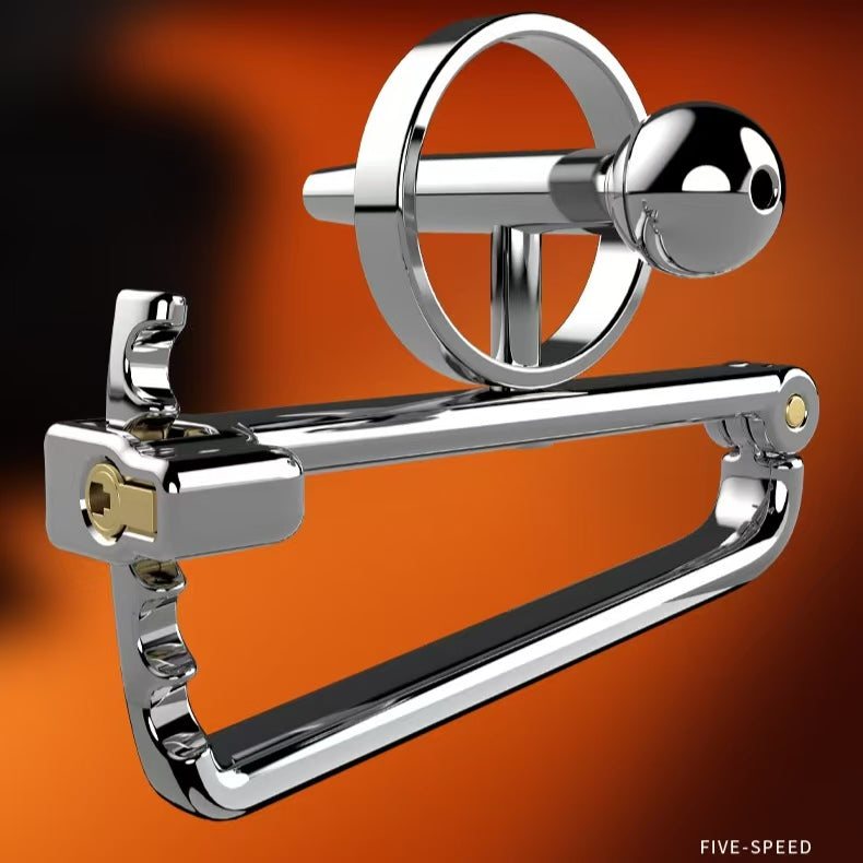 Adjustable Cock Cage With Horse-eye Bars 4