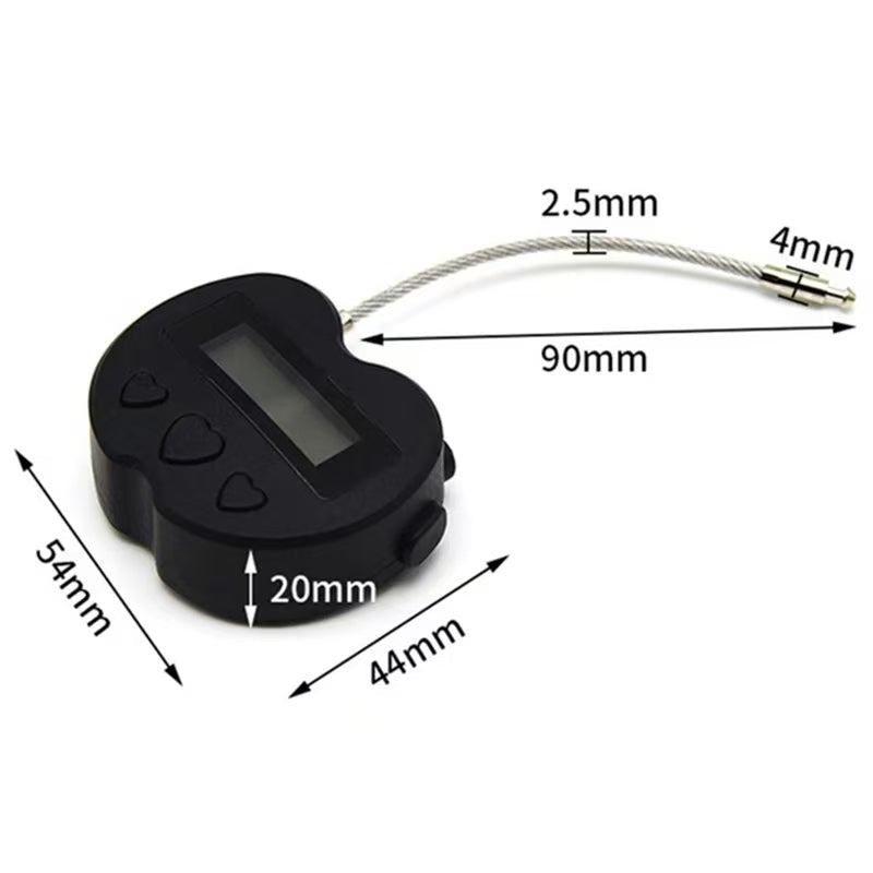 Electronic Chastity Timer