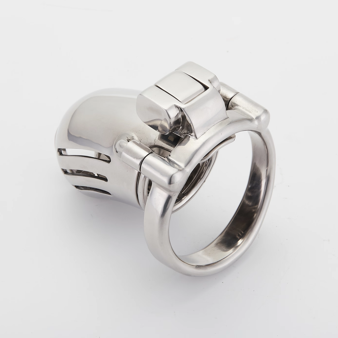 Full Steel Custom Chastity Cage With PA T13 - 10
