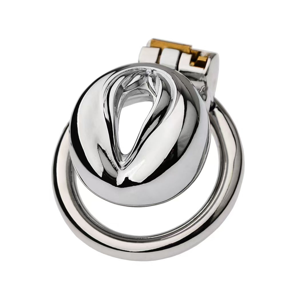 Multi Style Stainless Steel Pussy Cock Cage 3
