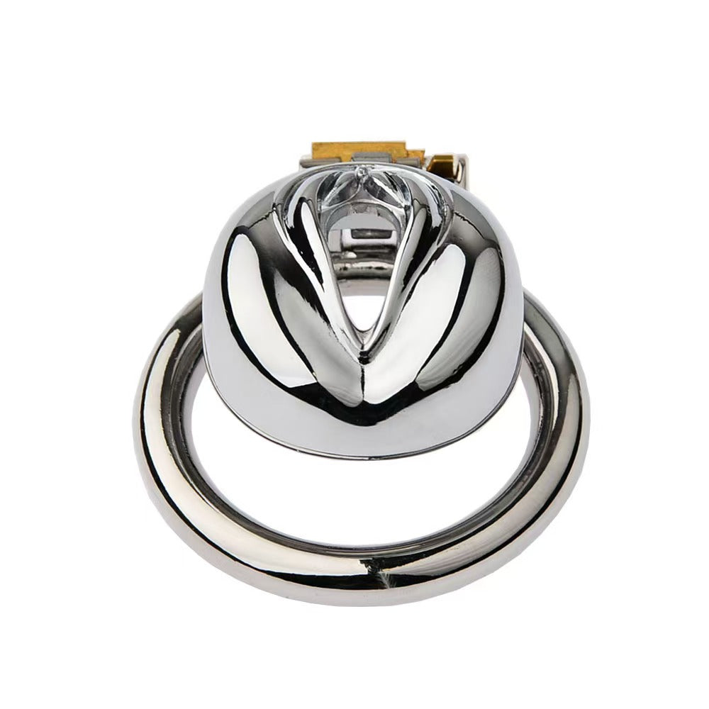 Multi Style Stainless Steel Pussy Cock Cage 4