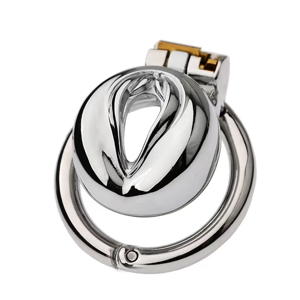 Multi Style Stainless Steel Pussy Cock Cage 2
