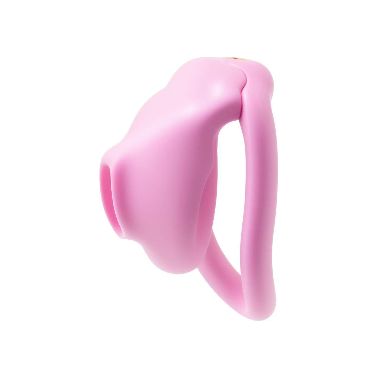 Super Little Bird Chastity Cage 1