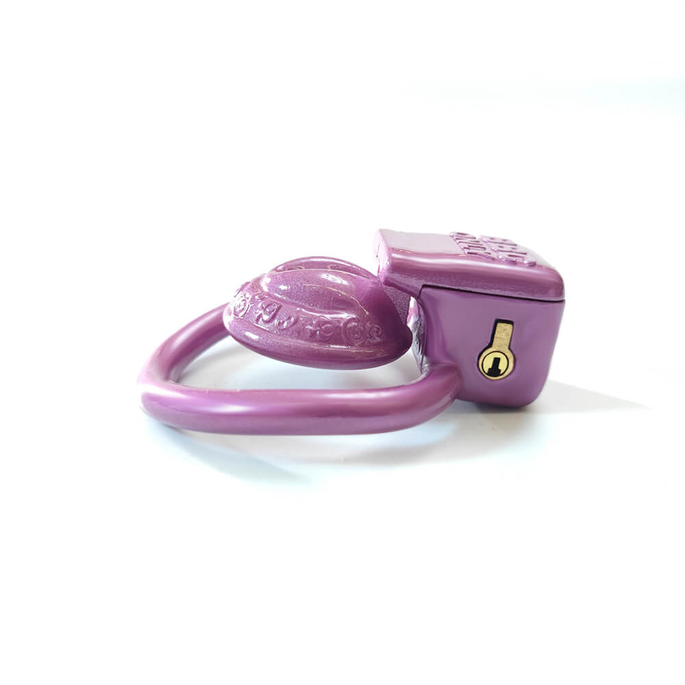 Cage de chasteté vaginale 3D super petite Sissy avec 4 anneaux
