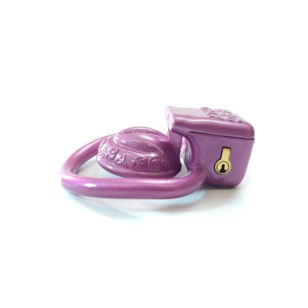 Cage de chasteté vaginale 3D super petite Sissy avec 4 anneaux