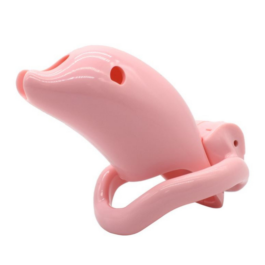 The Sissy Pink Resin Cock Cage