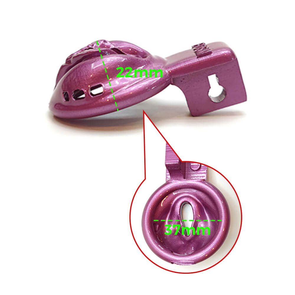 Cage de chasteté vaginale BDSM
