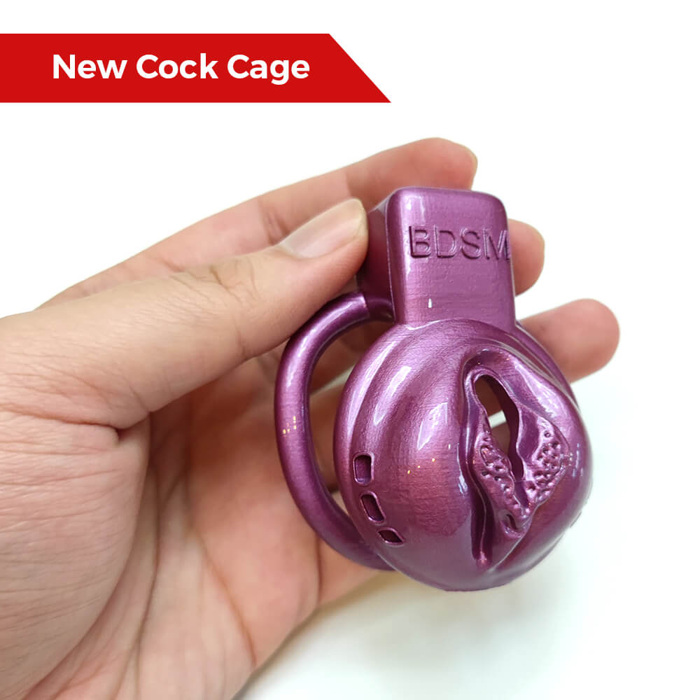 Cage de chasteté vaginale BDSM