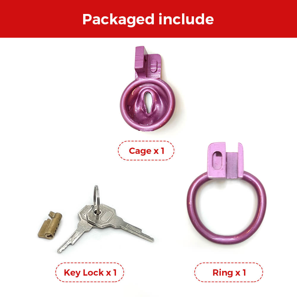 Cage de chasteté vaginale BDSM
