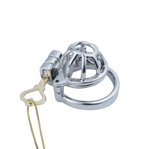 2 in 1 Custom Chastity Cage