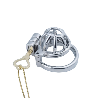 2 in 1 Custom Chastity Cage