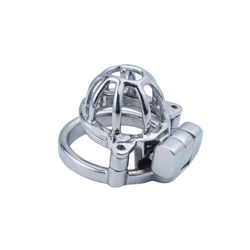 2 in 1 Custom Chastity Cage