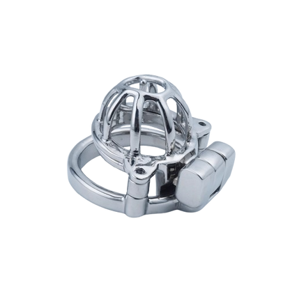 2 in 1 Custom Chastity Cage