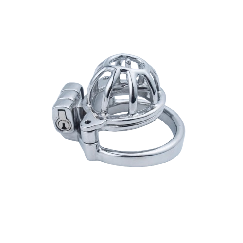 2 in 1 Custom Chastity Cage