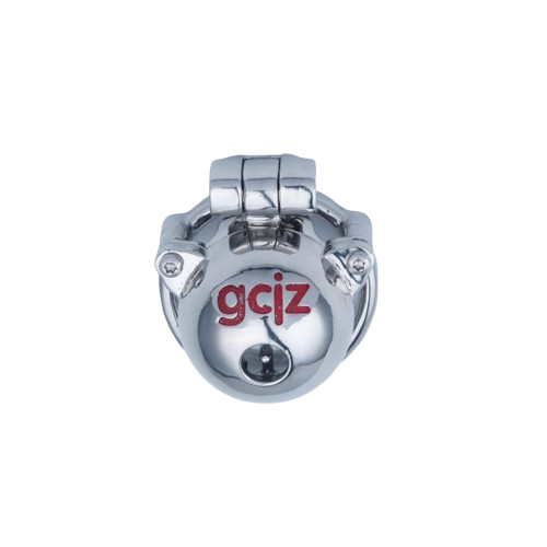 2 in 1 Custom Chastity Cage