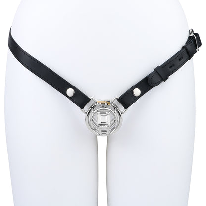 304 Stainless Steel Cock Cage - 4