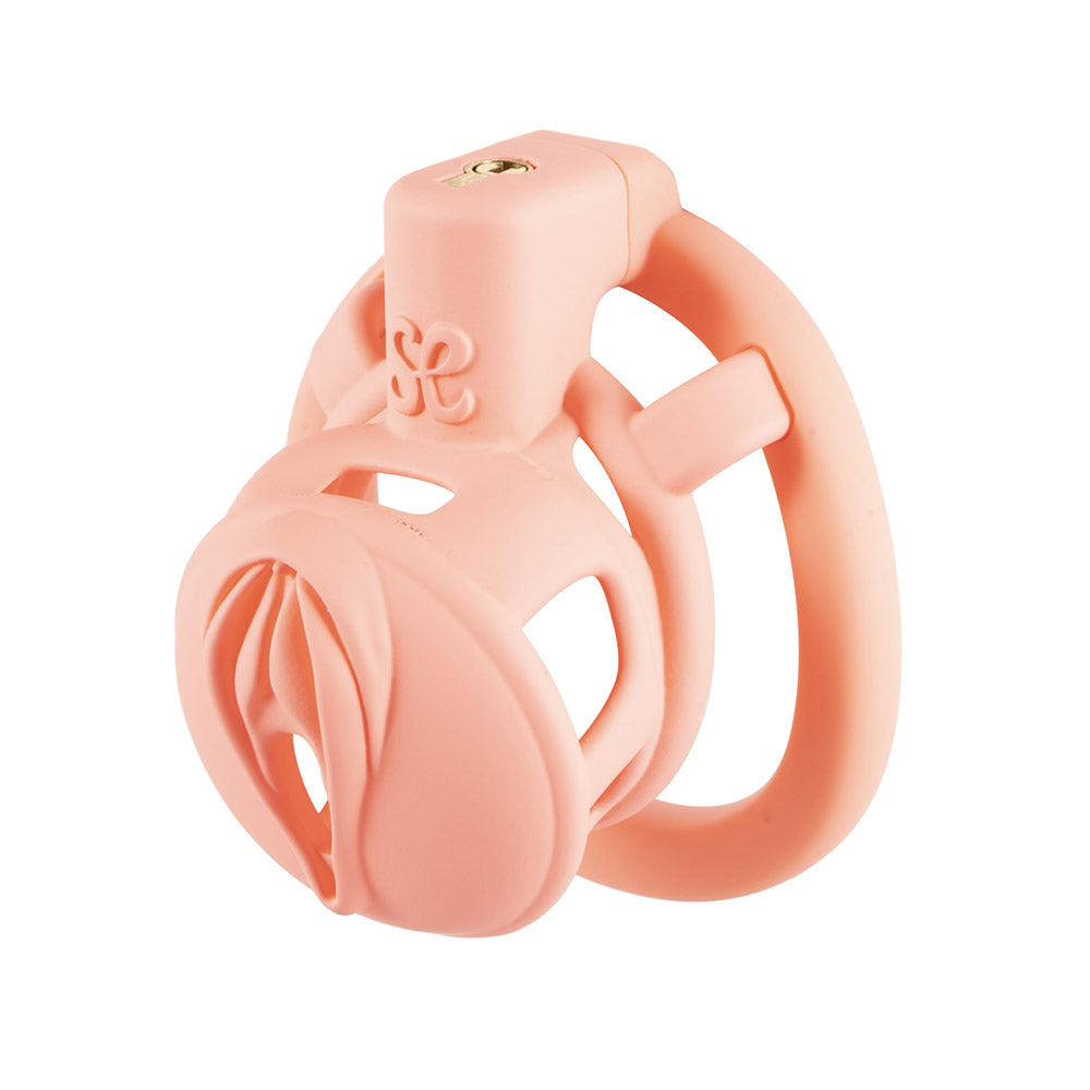 Cage de chasteté pour chatte 3D