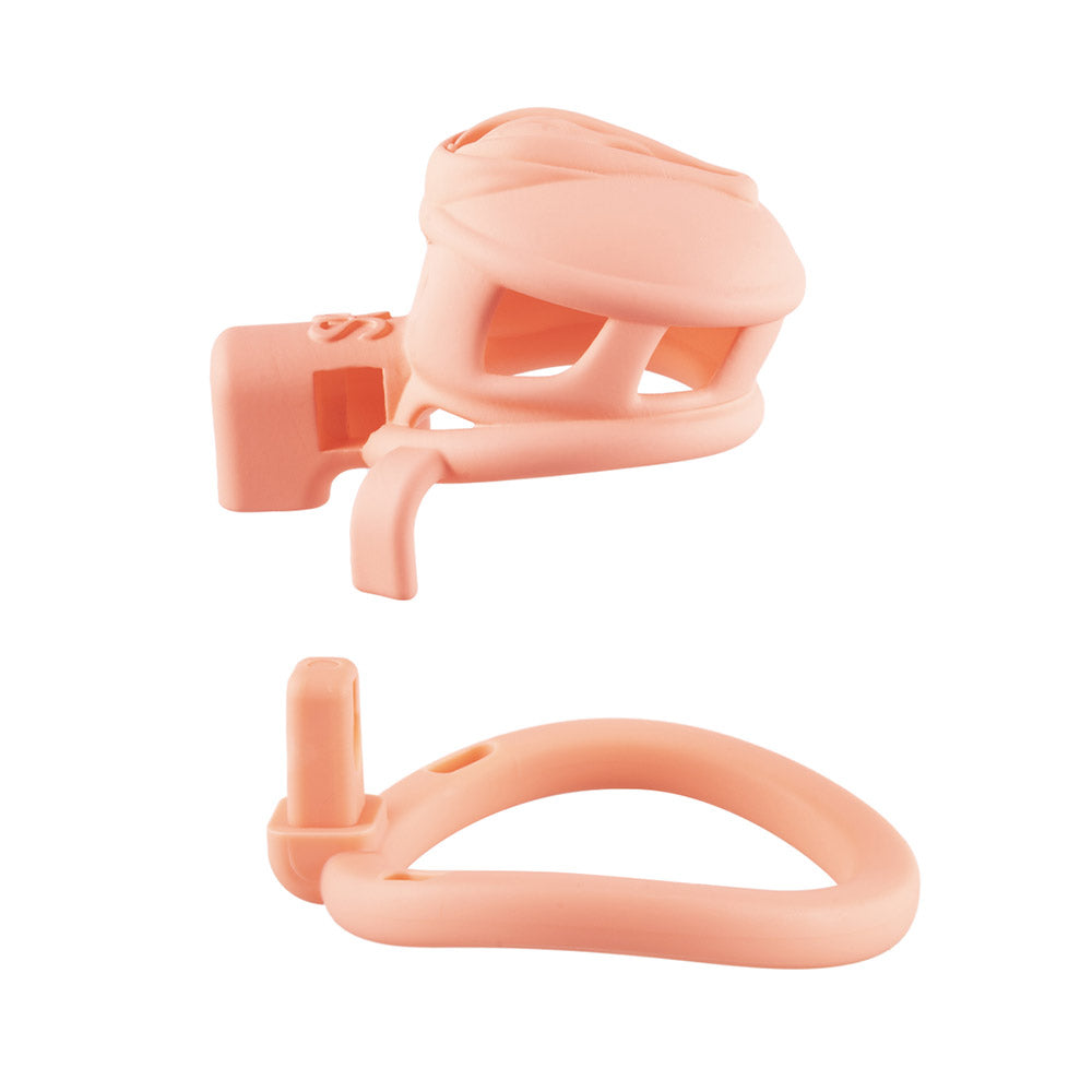 3D  Pussy Chastity Cage