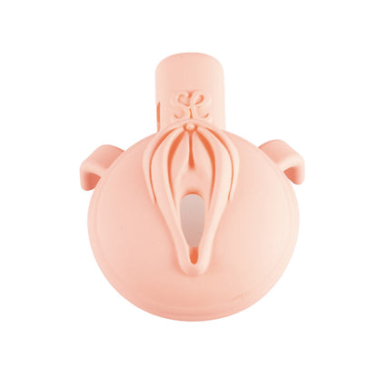 3D  Pussy Chastity Cage