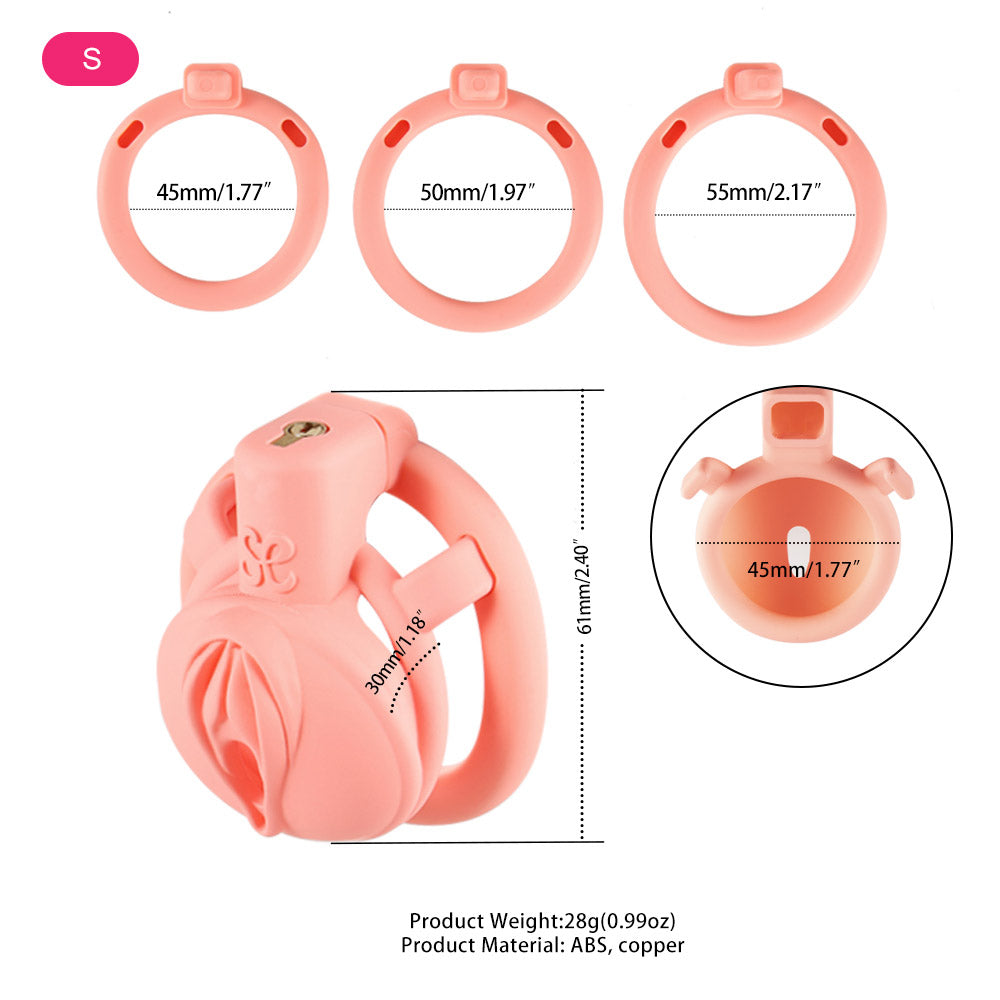 3D  Pussy Chastity Cage