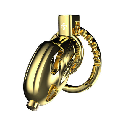 Adjustable Urethral Sounding Chastity Cage