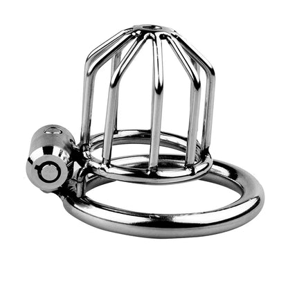 Metal Chastity Lock Bound