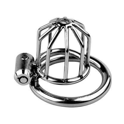 Metal Chastity Lock Bound