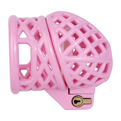 ABS Birdcage Chastity Cage