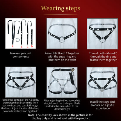 Six illustrated assembly steps for support belt; demonstration cage not included