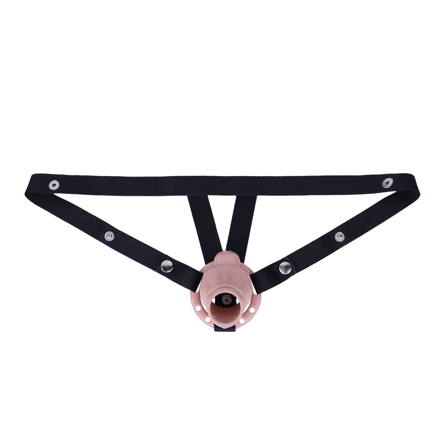 “Beast Dragon” Exposed Chastity Cage