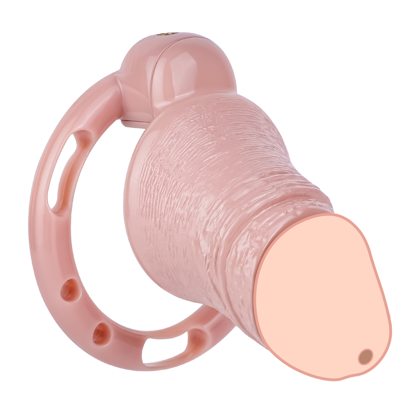 “Beast Dragon” Exposed Chastity Cage