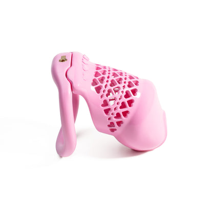 Beginner 3D Printed Resin Male Chastity Cage