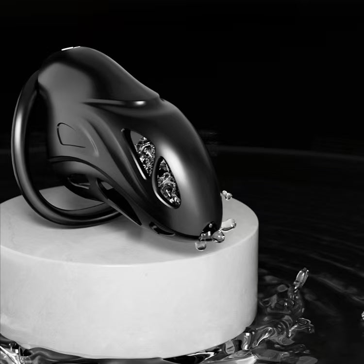 Black Punisher Chastity Device 2