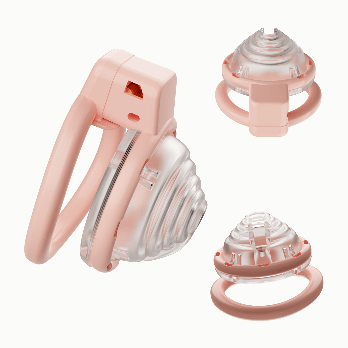 Detachable Conch Chastity Cage