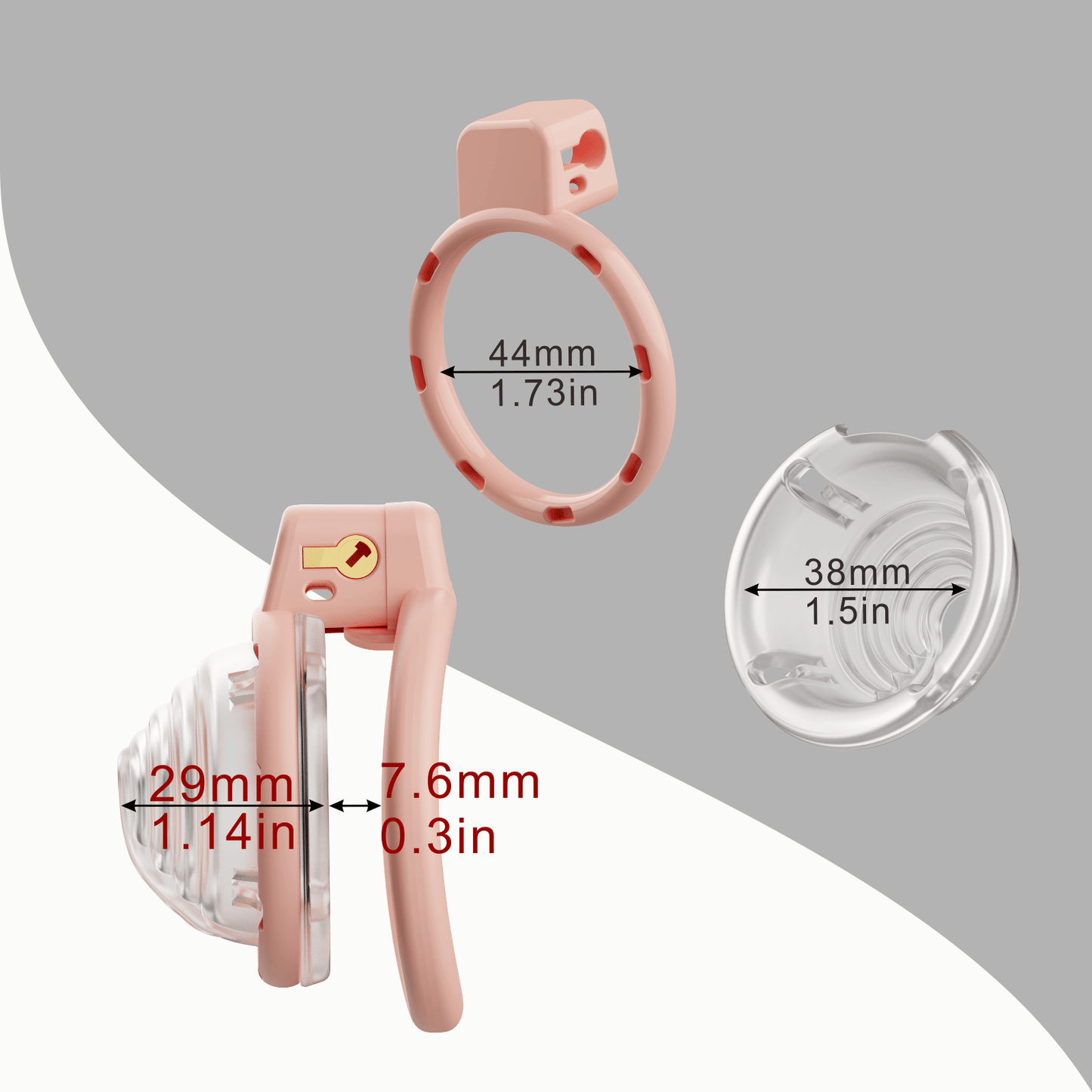 Detachable Conch Chastity Cage