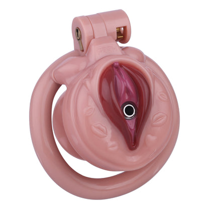 DIY Pussy Cock Cage - 3