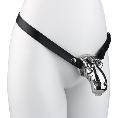 Dolphin Steel Chastity Cage with Anti-ring Removable - 14