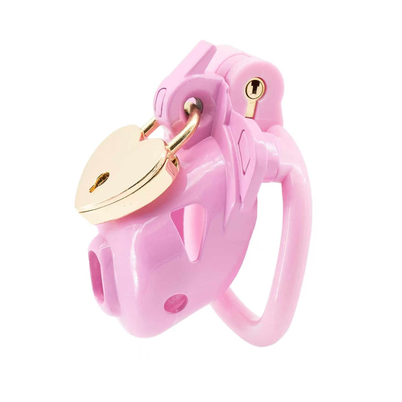 Double Lock Lightweight Chastity Cage 4