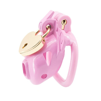 Double Lock Lightweight Chastity Cage 4