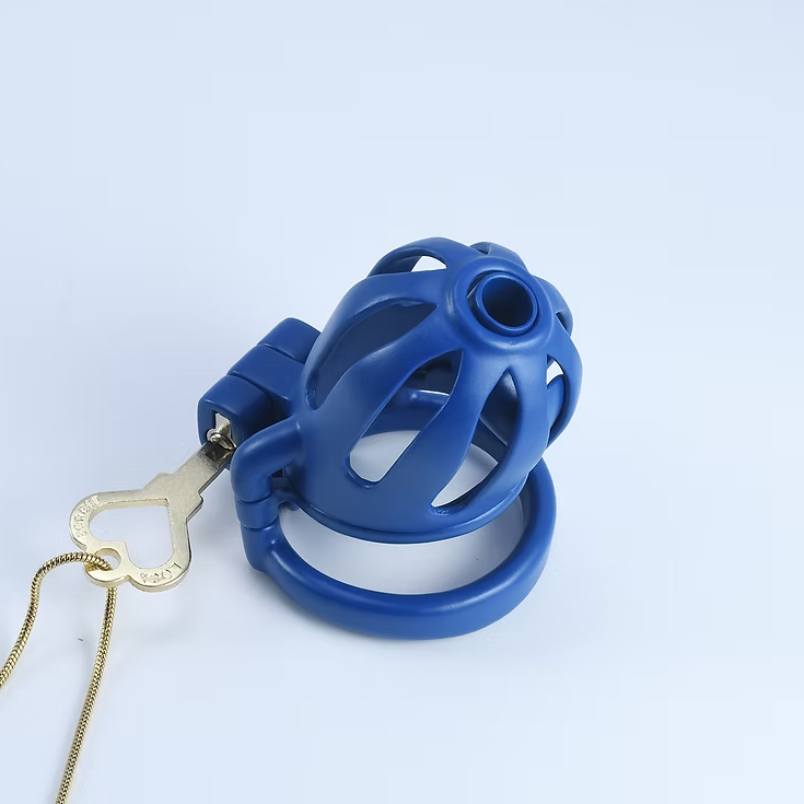 Dragon Prison Steel Custom Chastity Cage