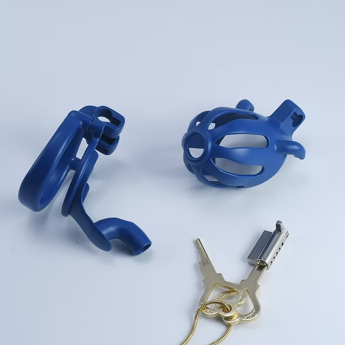 Dragon Prison Steel Custom Chastity Cage