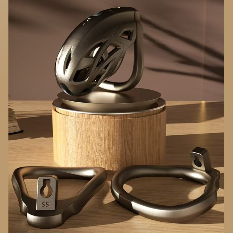 Dragon Taming Master App Electric Shock Chastity Cage 4