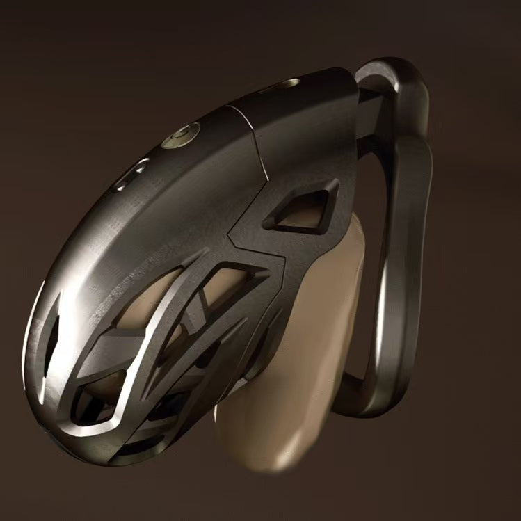 Dragon Taming Master App Electric Shock Chastity Cage 5