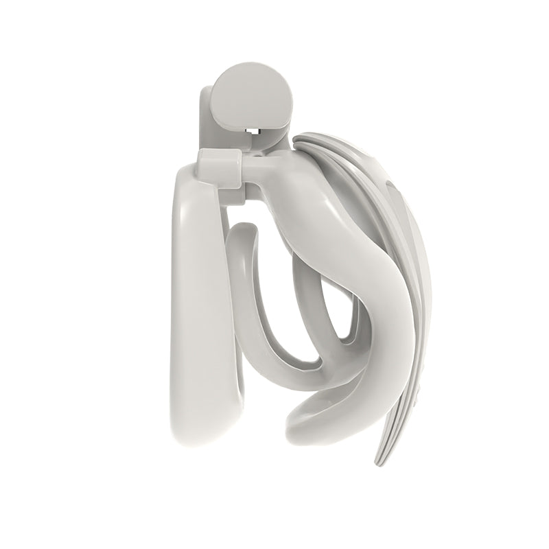 Dual-Heart Resin Chastity Cage