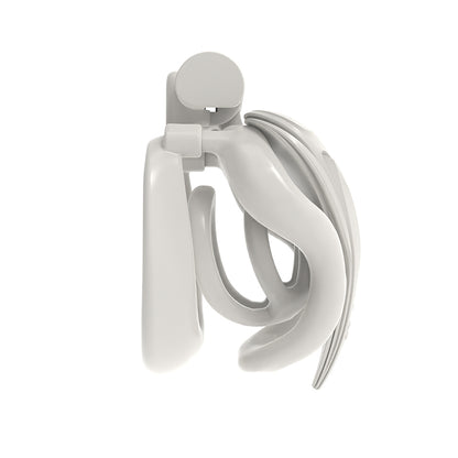 Dual-Heart Resin Chastity Cage